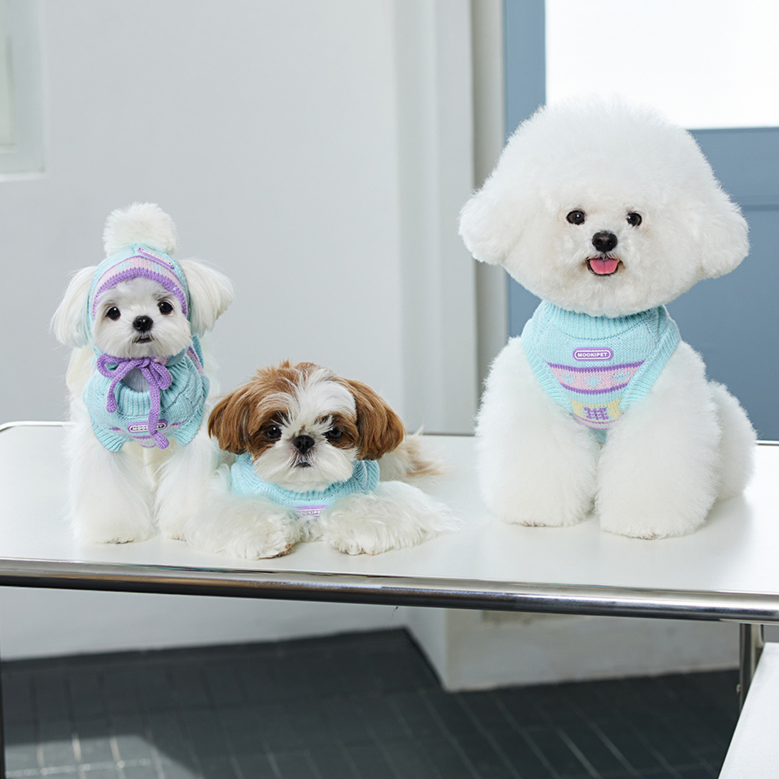 Dog Winter Beanie with Ear Holes