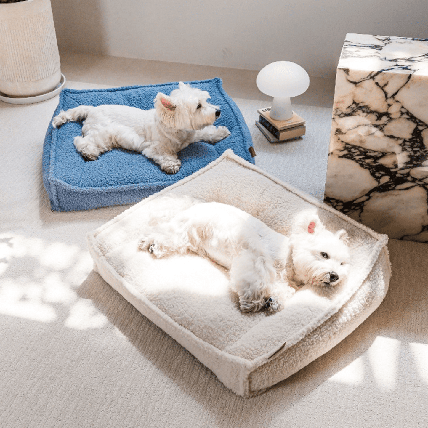 2 Westies lying on orthopedic dog beds, white and blue