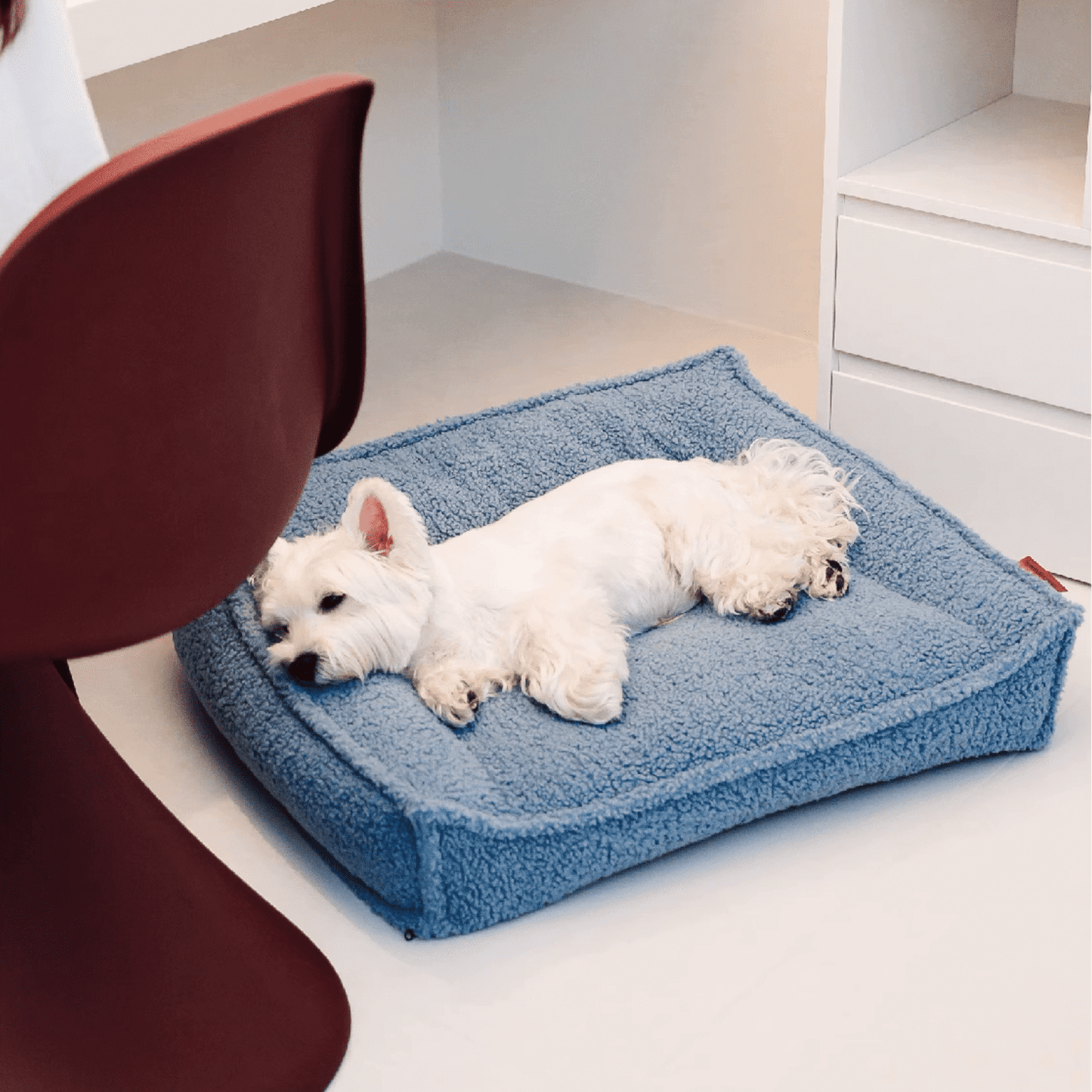 Westie lying on blue orthopedic dog bed