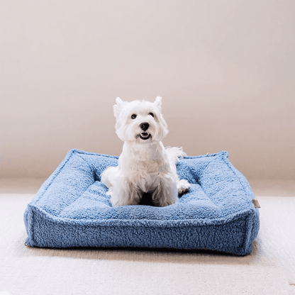 Westie siting on blue orthopedic dog bed