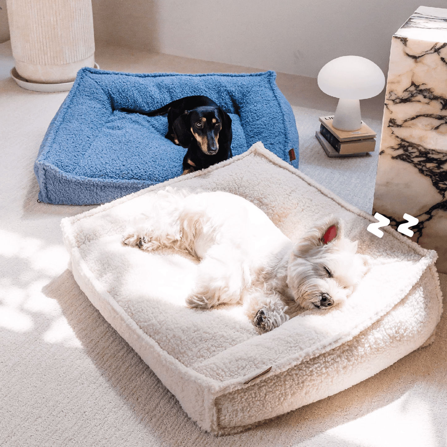 A westie and a dachshund lying on orthopedic dog beds, white and blue