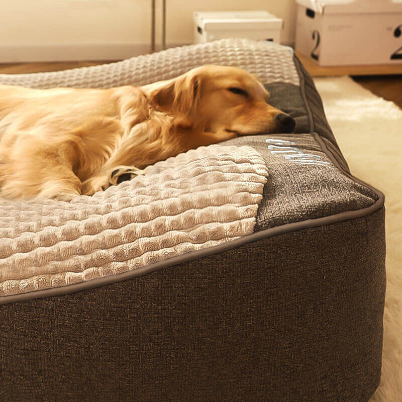 Golden Retriever lying on a large black orthopedic dog bed