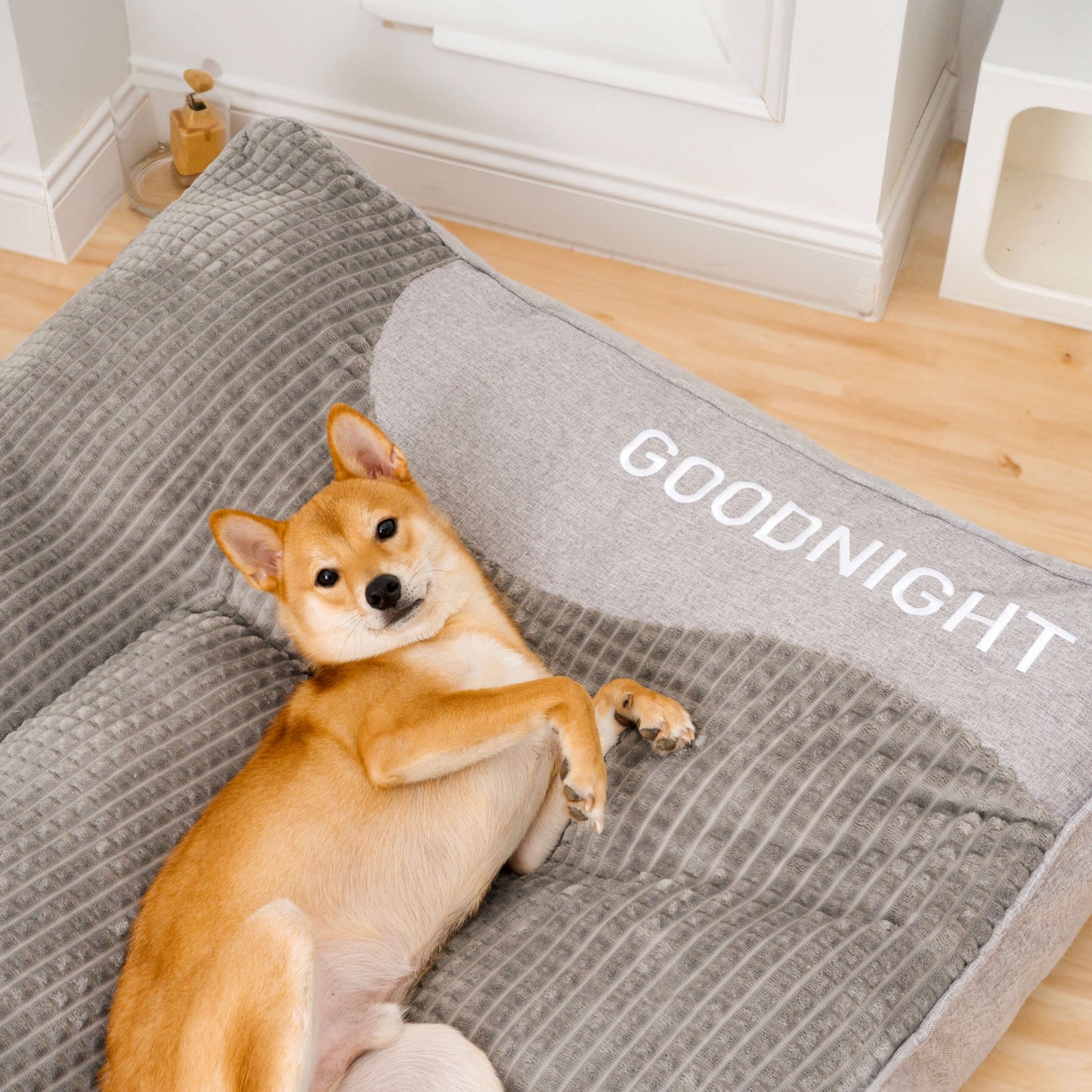 Shiba Inu resting on a large gray orthopedic dog bed