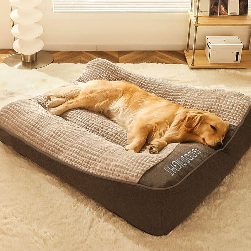 Golden Retriever resting on a large black orthopedic dog bed