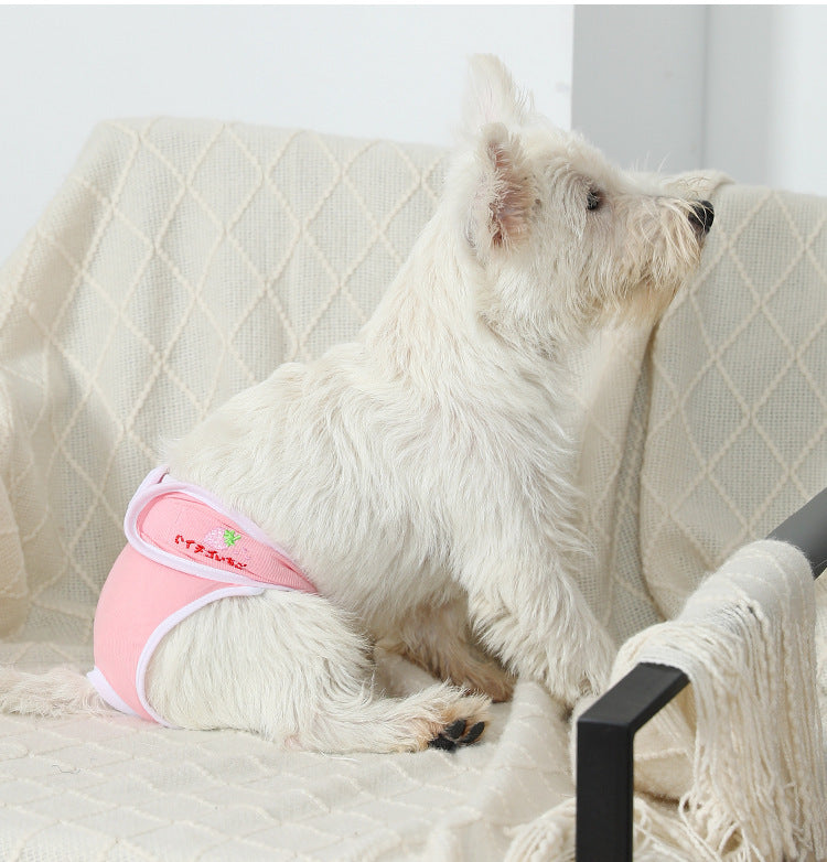 A Westie wearing a pink dog diaper