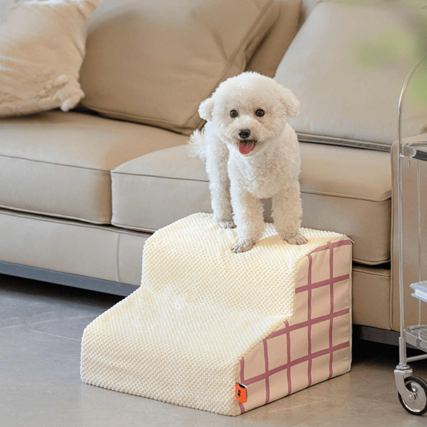 A dog standing on a dog ramp