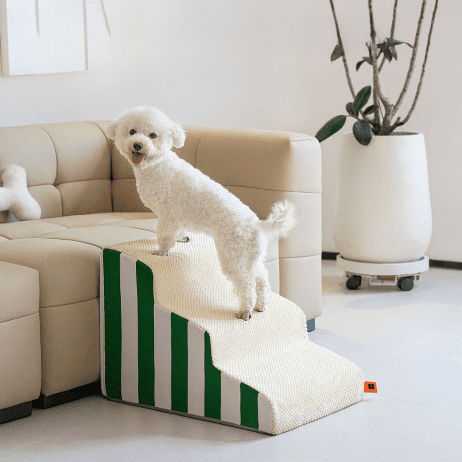 A dog climbing onto the sofa using a green dog ramp