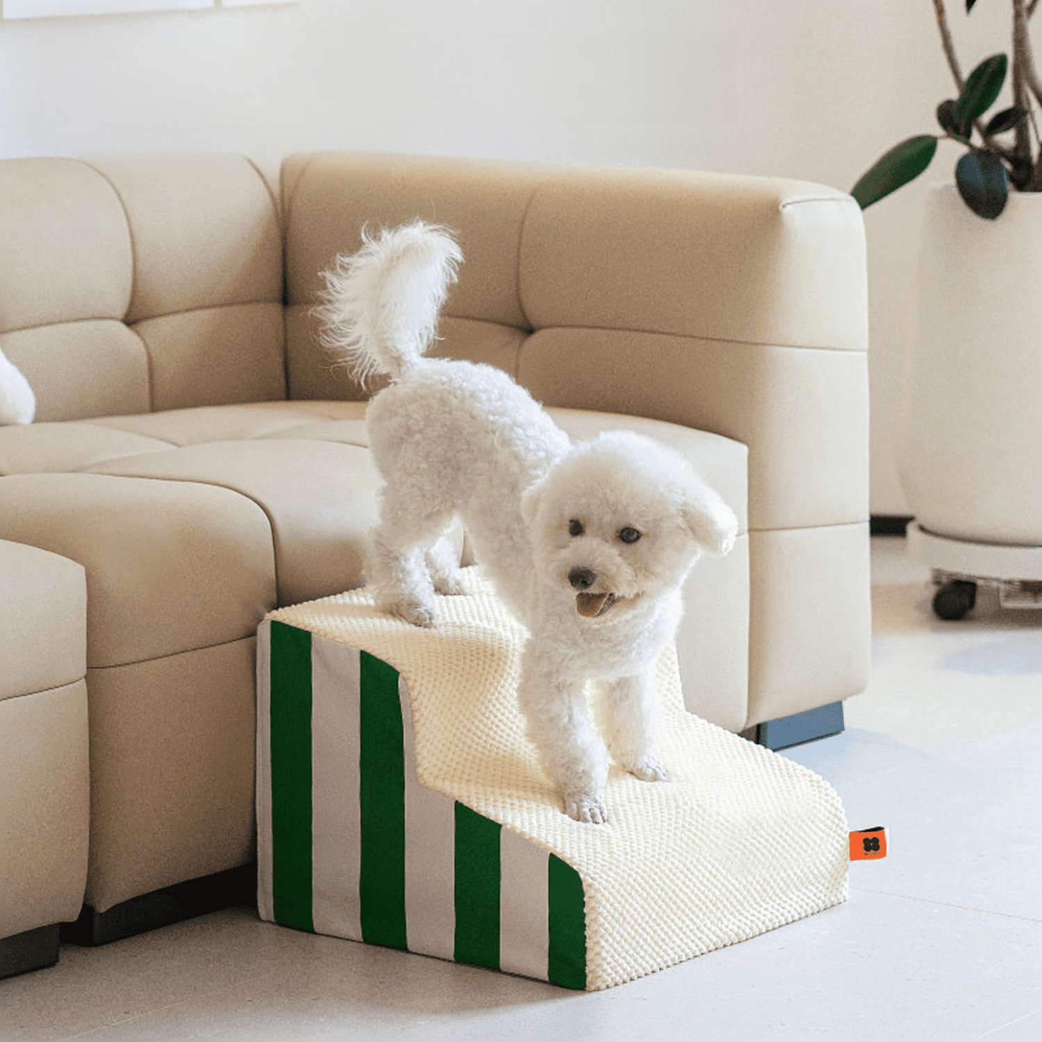 A dog using a dog stairs to get down from the couch