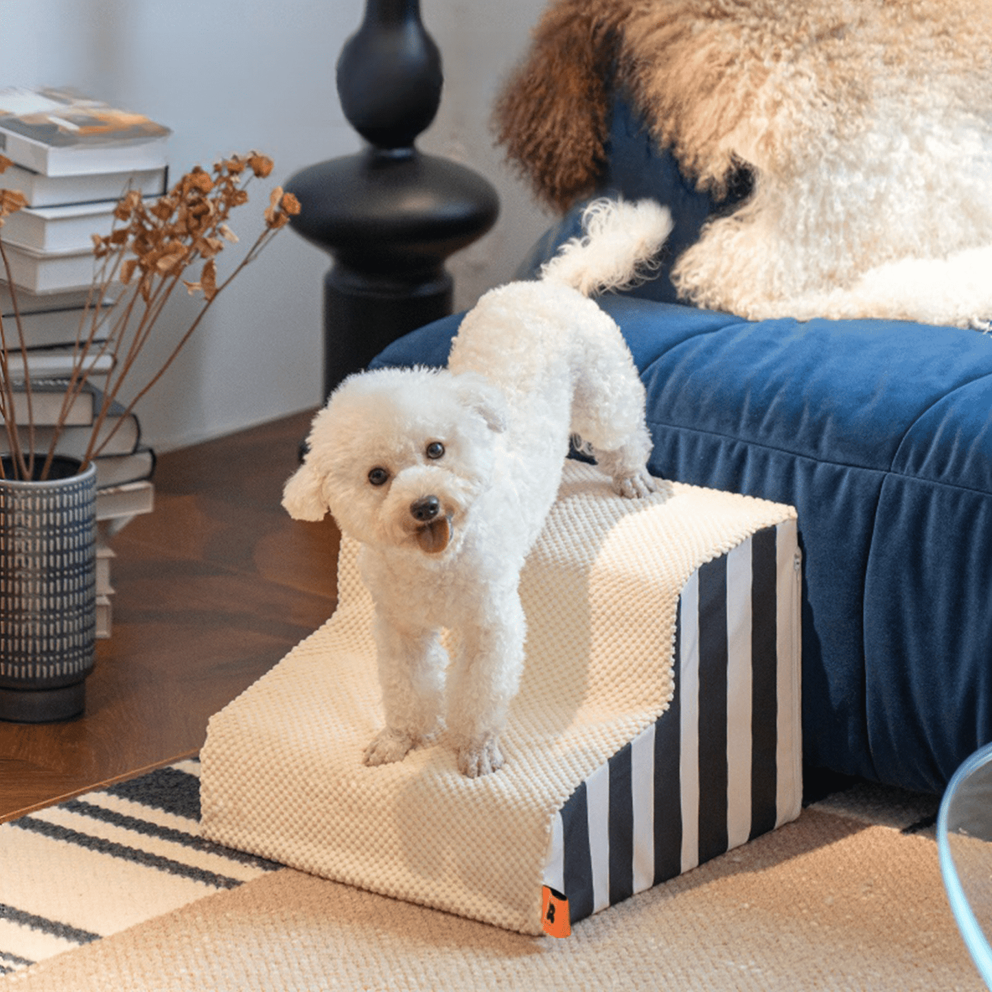 a dog coming down from the sofa using a dog ramp