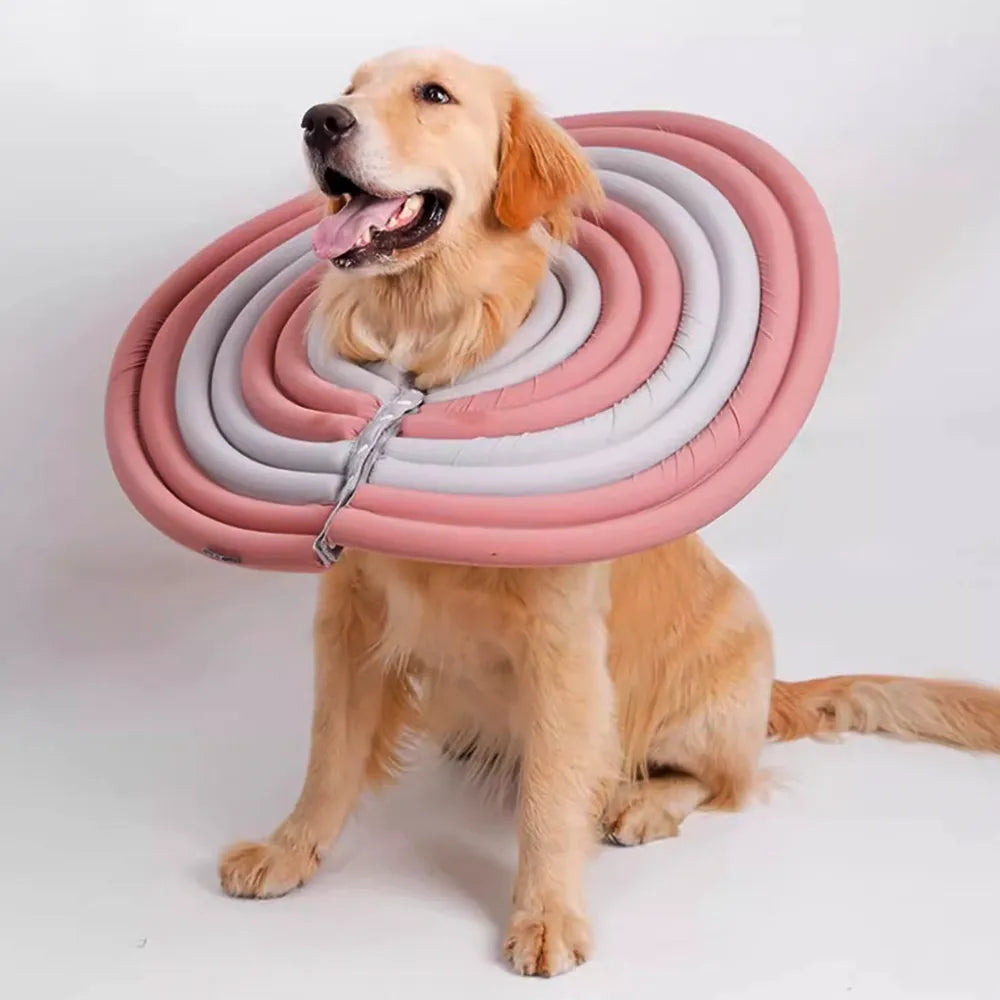 Extra Large Dog Elizabethan Collar – Pawsbetter