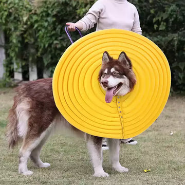 Extra Large Dog Elizabethan Collar