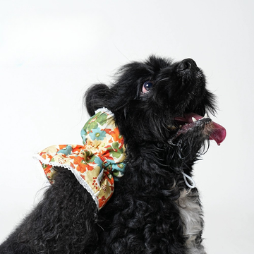Floral Dog Ear Cover