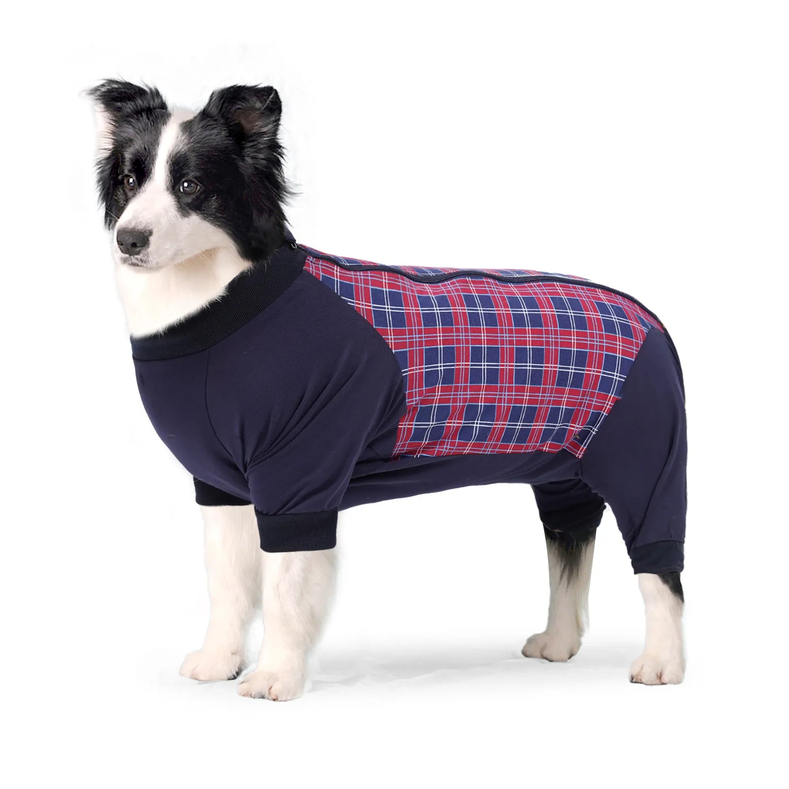 Four Legs Coverage Dog Recovery Suit