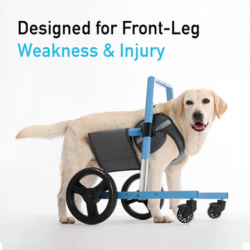 Front Leg Dog Wheelchair <sup>PRO</sup>