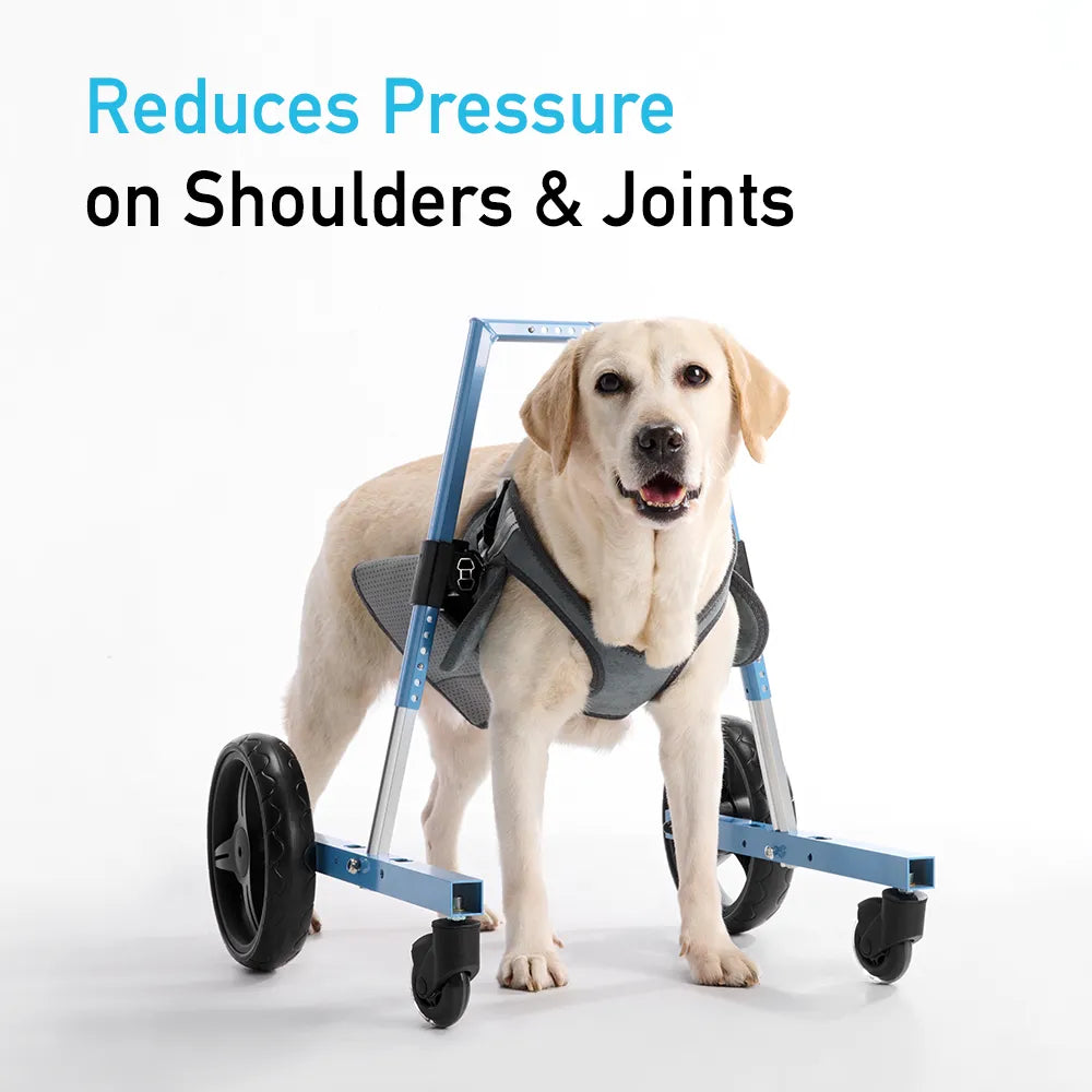 Front Leg Dog Wheelchair <sup>PRO</sup>