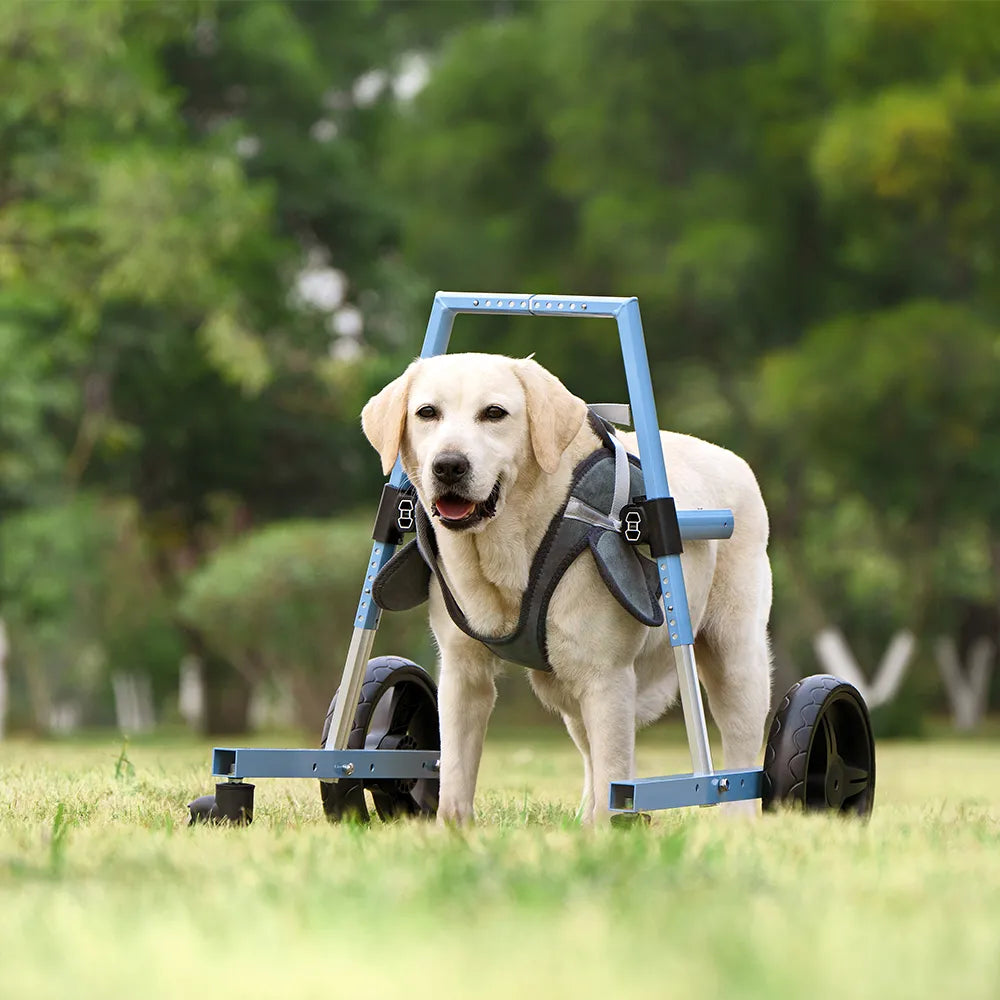 Front Leg Dog Wheelchair <sup>PRO</sup>