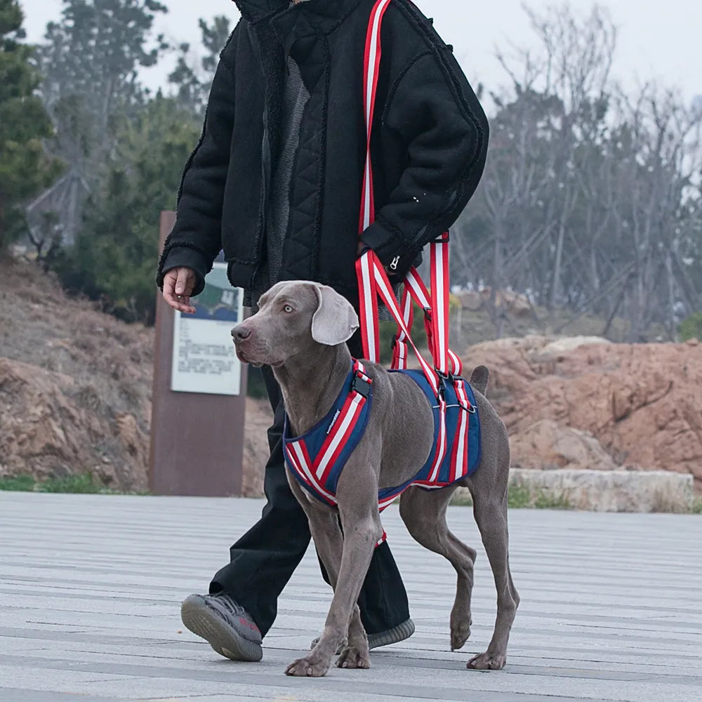 Full Body Support Dog Lift Harness