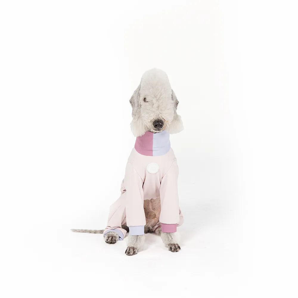Full-Coverage Sun-Proof Dog Cooling Suit