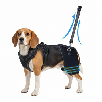 Full-Support Dog Hip Dysplasia Brace with Lift Handle