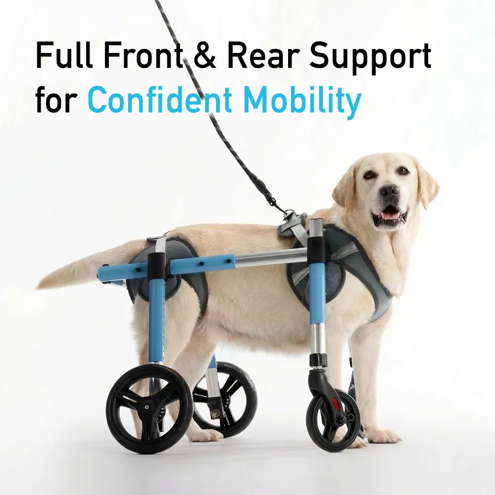 Full Support Dog Wheelchair PRO – Pawsbetter