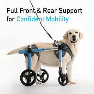 Vollunterstützender Hunderollstuhl