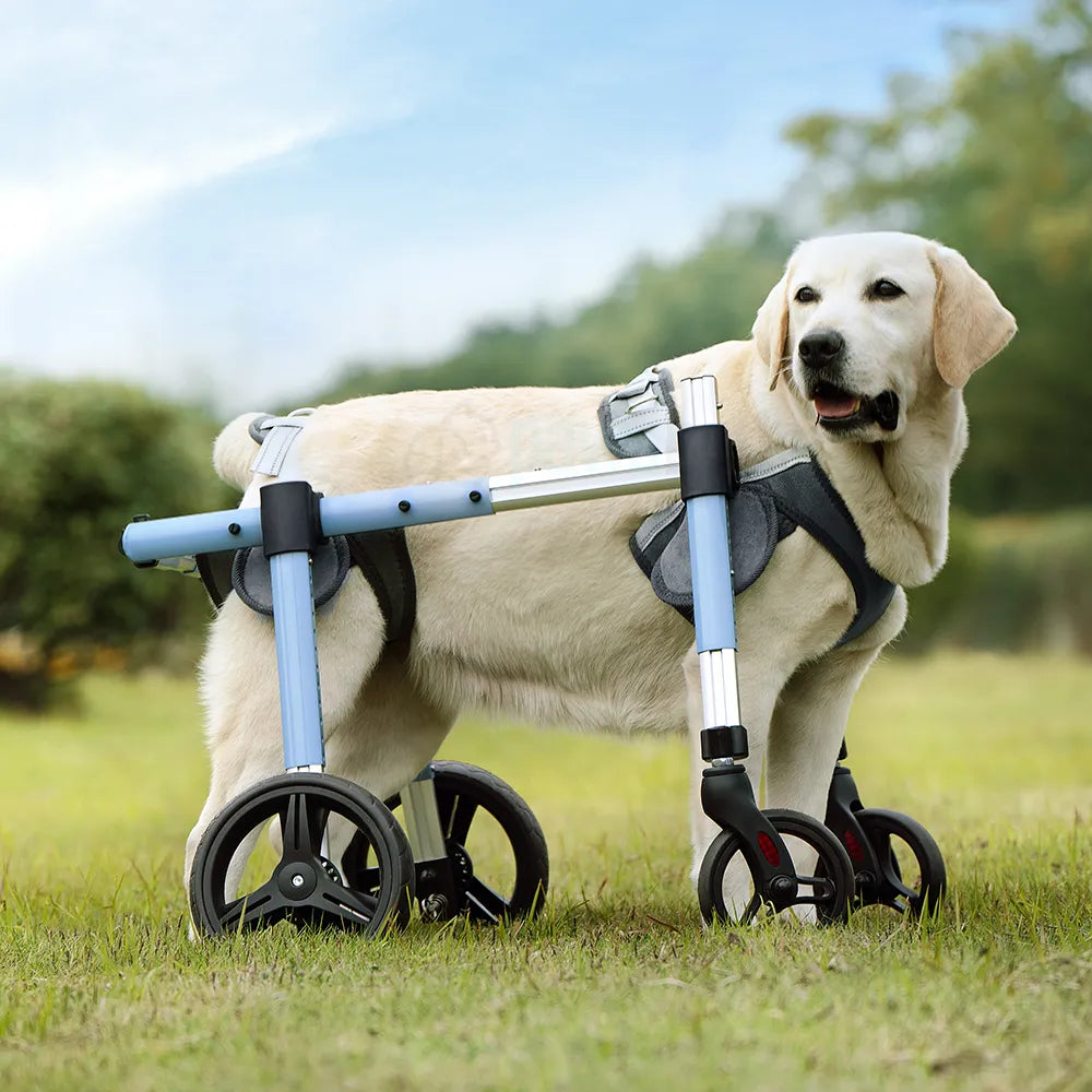 Full Support Dog Wheelchair <sup>PRO</sup>