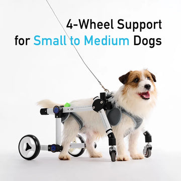Hunderollstuhl für kleine und mittelgroße Hunde