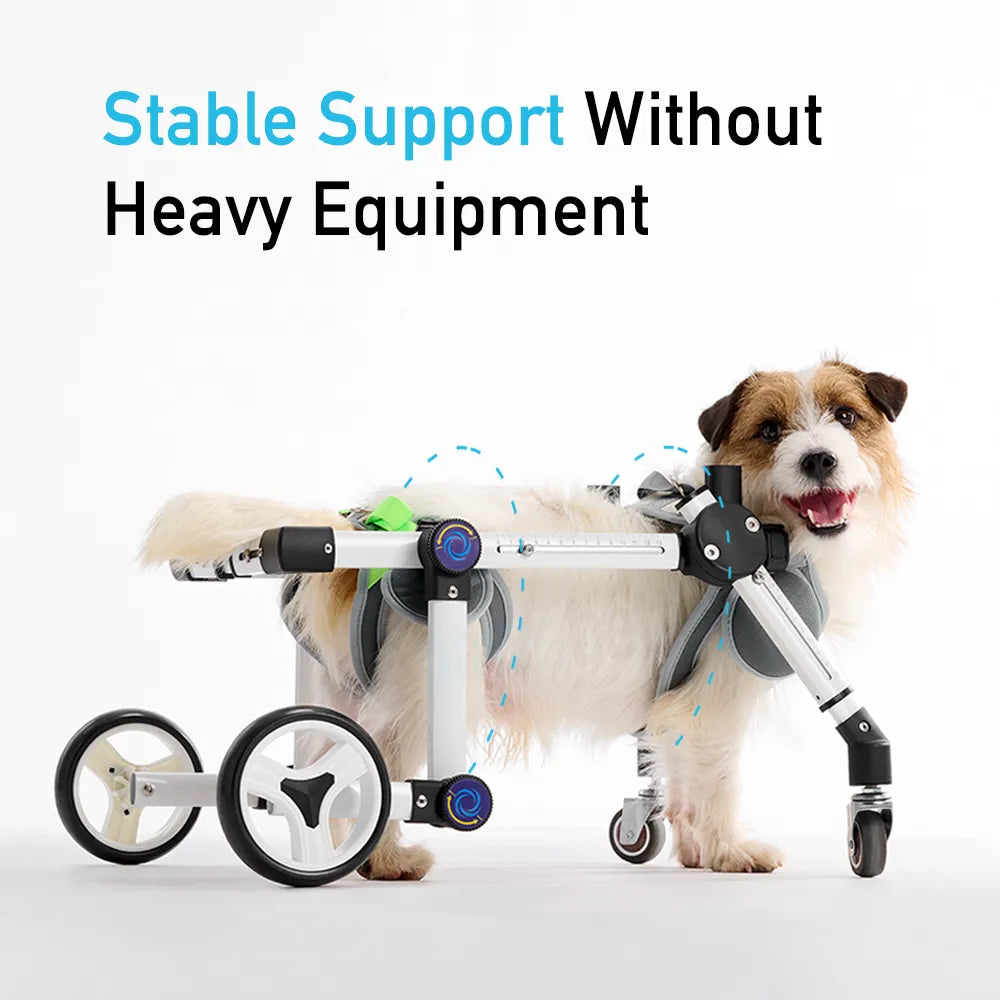 Full Support Dog Wheelchair <sup>CORE</sup>