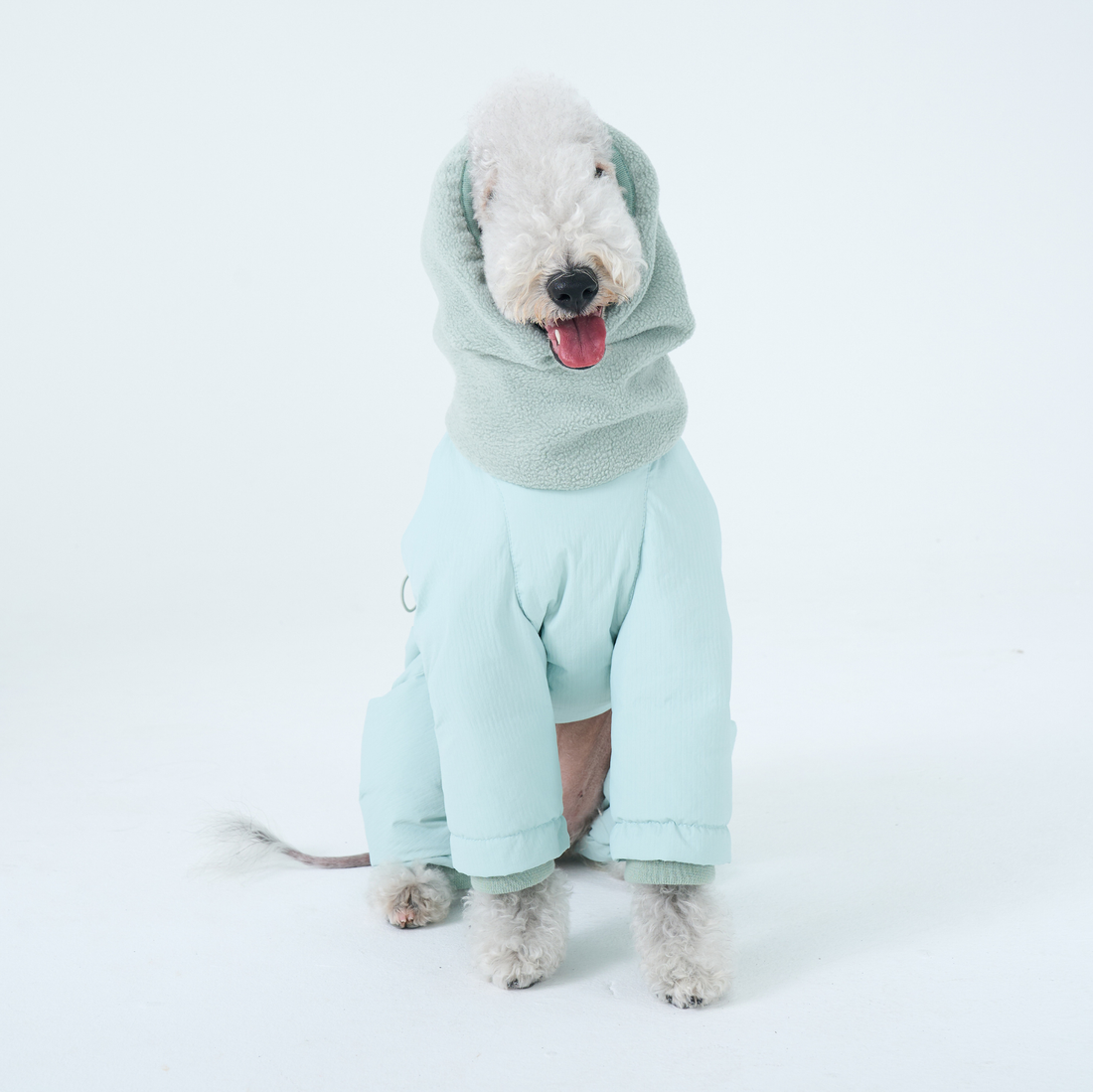 High-neck Full-Coverage Dog Puffer Jacket