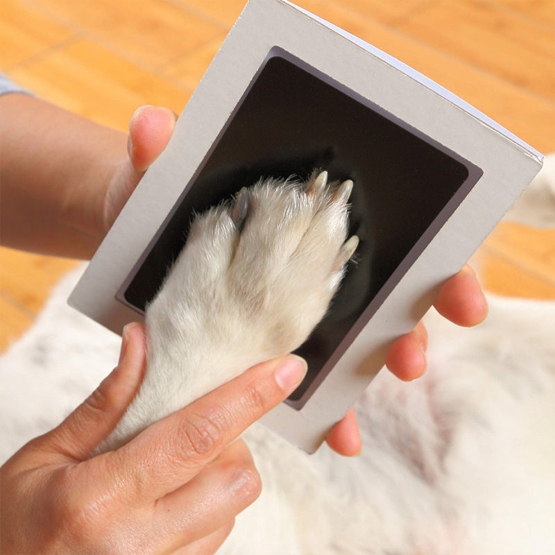 Dog Paw Print Kit