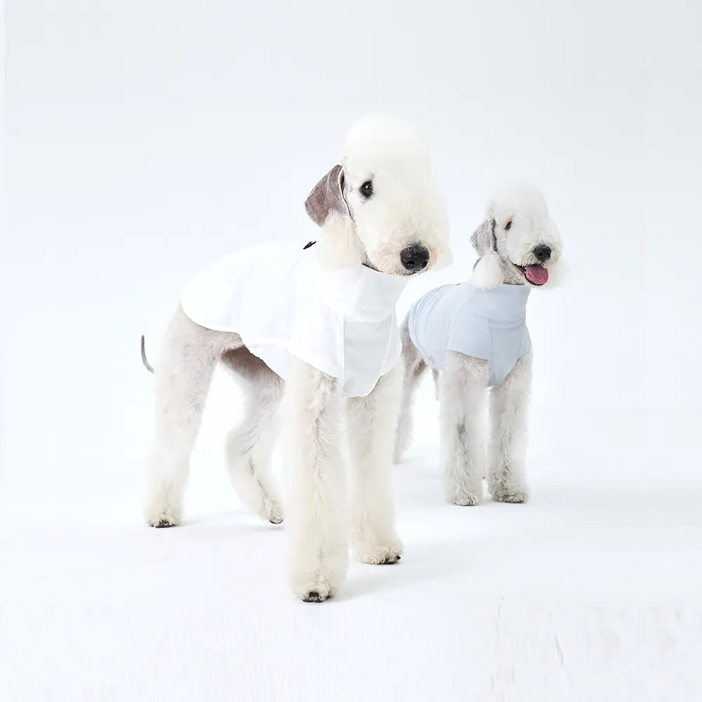 Premium Sun-Proof Dog Cooling Vest
