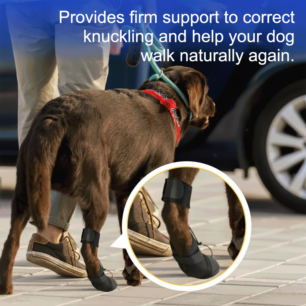 Professional Dog Knuckling Support Brace