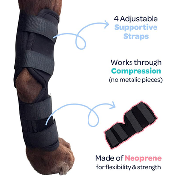 Professional Dog Leg Support Brace