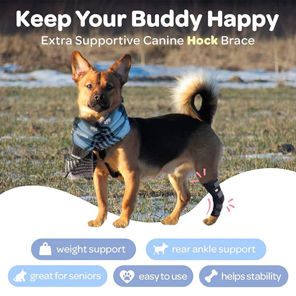 Dog Leg Set Rivet Professional Dog Leg Support Brace – Pawsbetter