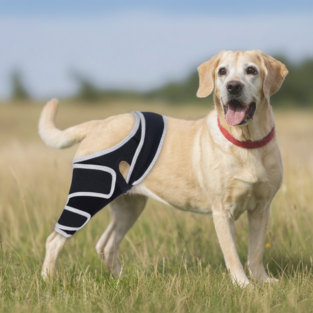 Reinforced Dog ACL Knee Brace