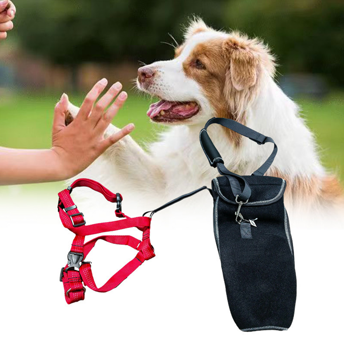 Stabilizing Dog Hip Dysplasia Brace with Lift Handle