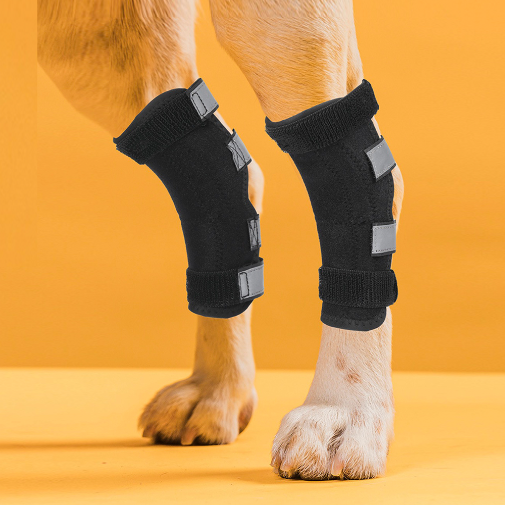 Stabilizing Dog Rear Leg Support Brace