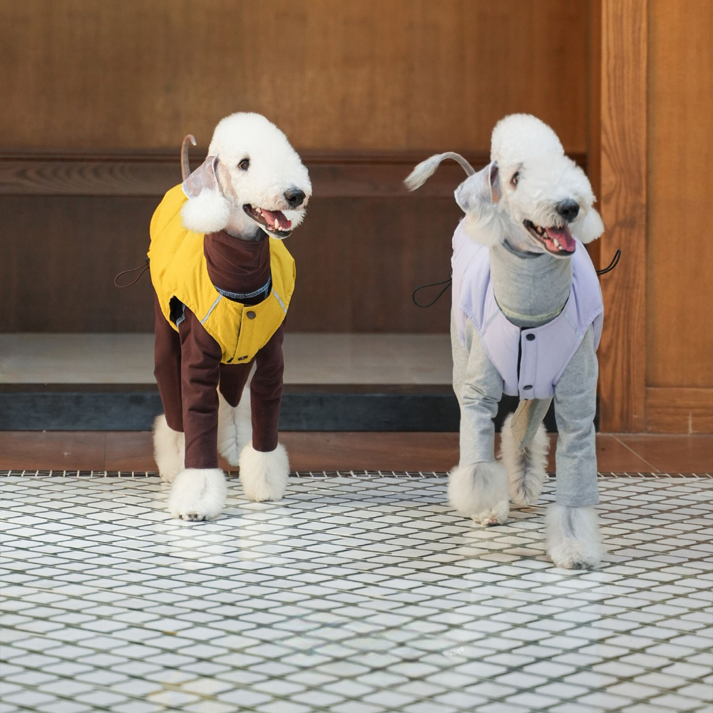 Standard Dog Puffer Vest