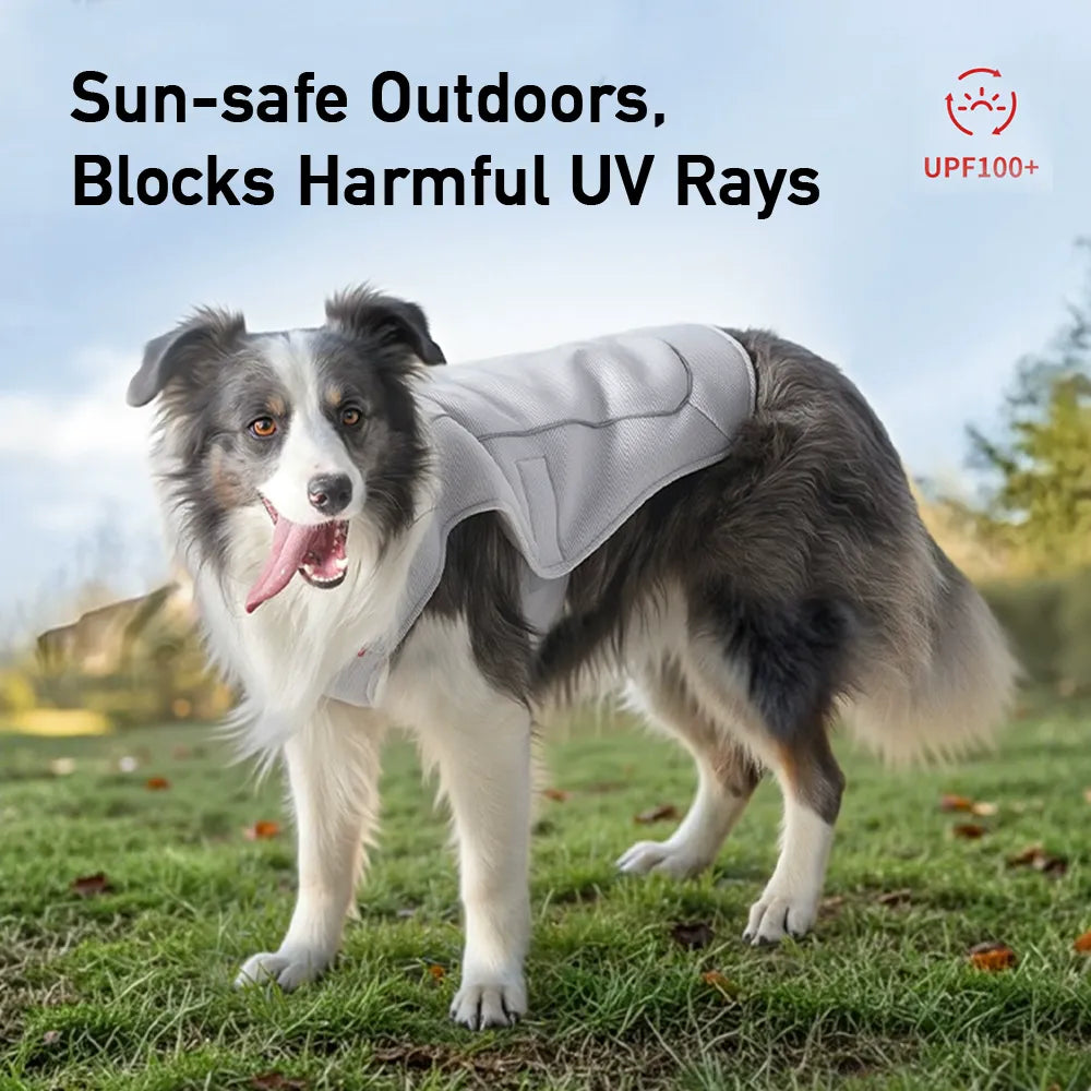 Water-Activated Dog Cooling Vest