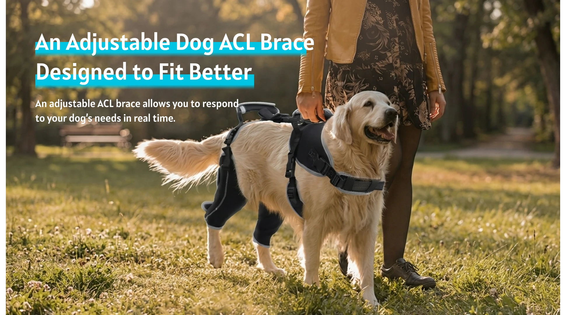 slider image slider_item_BmkYpU