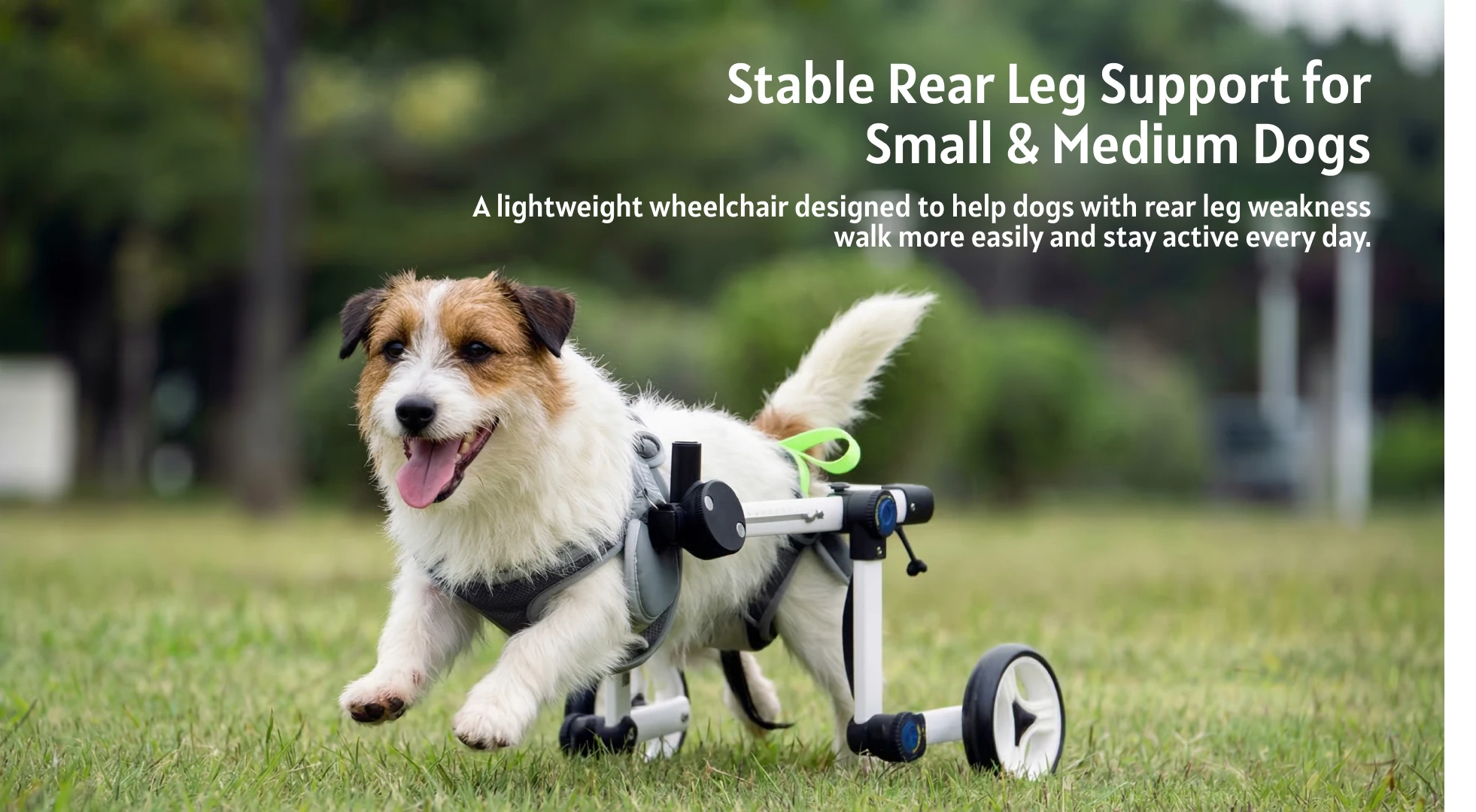 slider image slider_item_BmkYpU