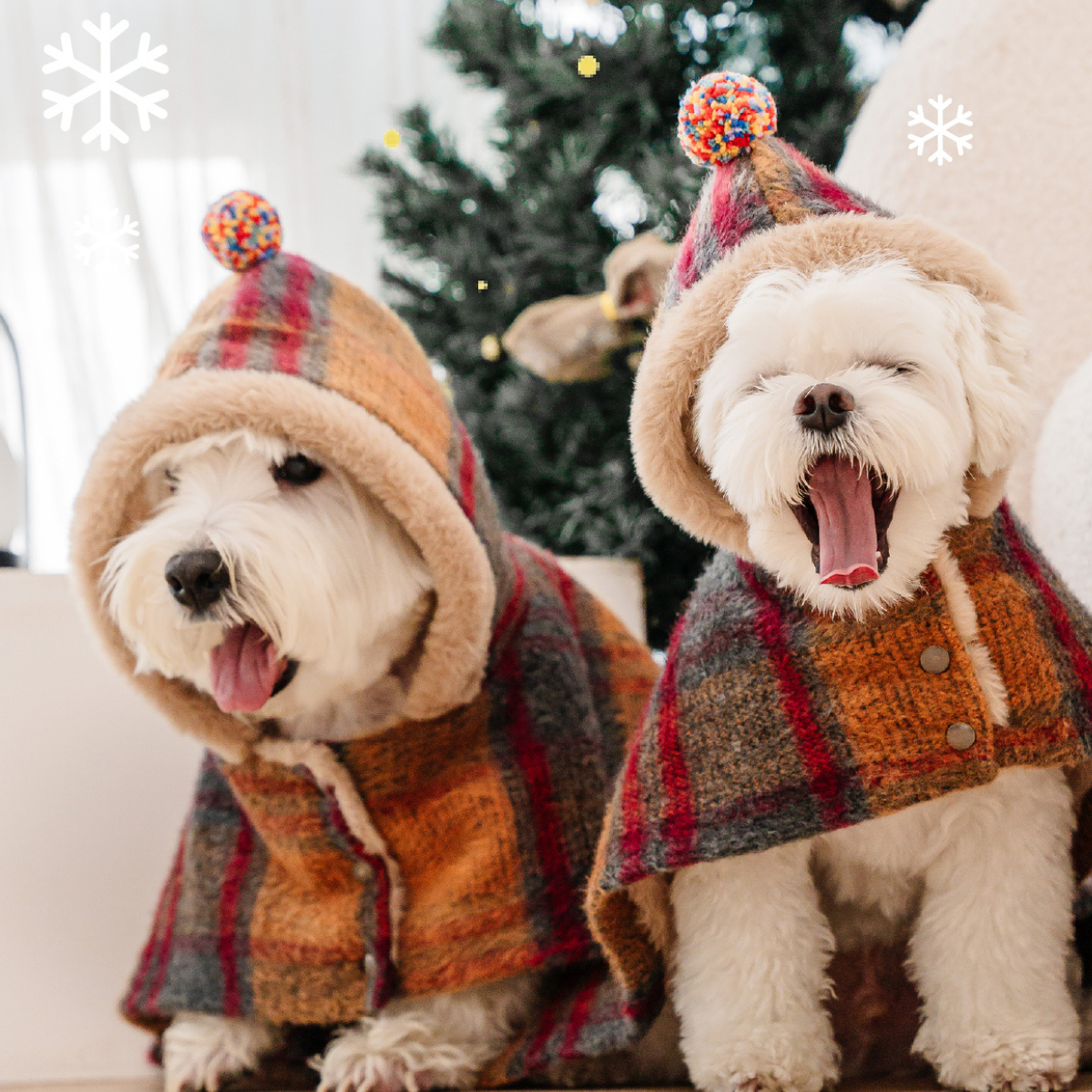 Dog Christmas Hooded Cape