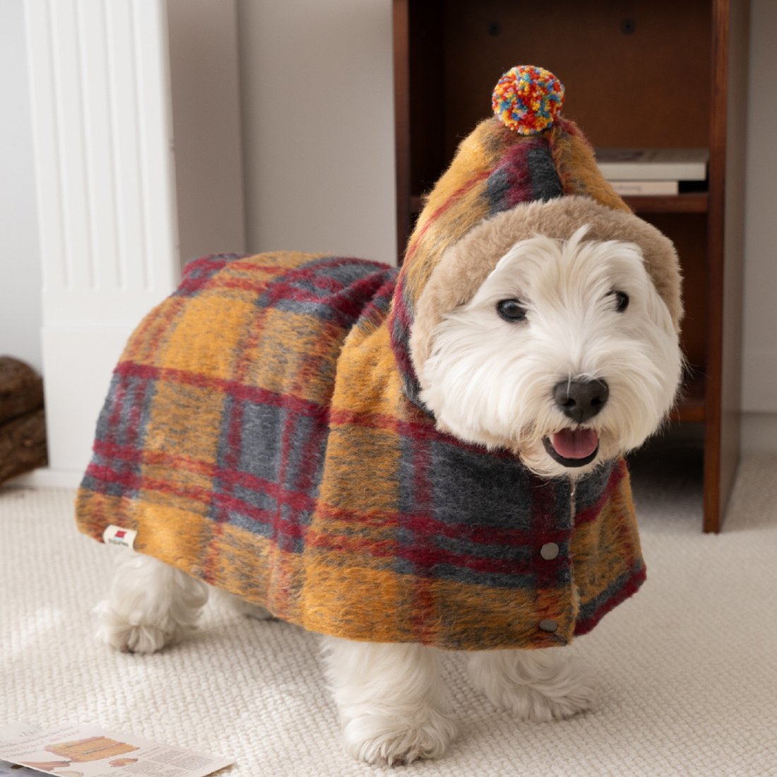 Dog Christmas Hooded Cape