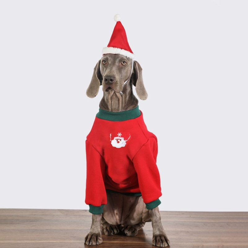 Dog Christmas Sweater for Large Dog