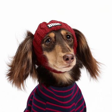 Dog Winter Beanie Hat