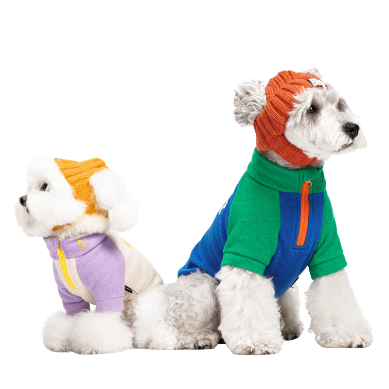 Dog Winter Beanie Hat