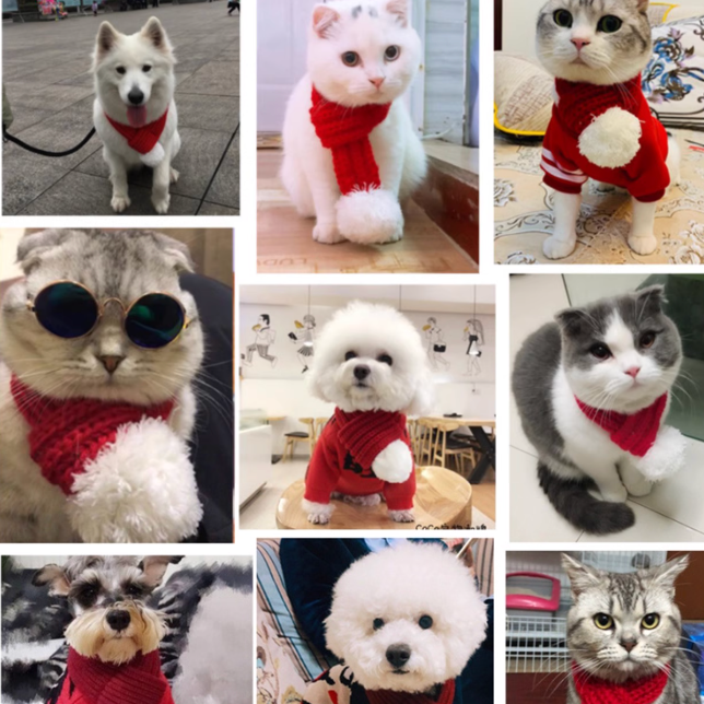 Standard Dog Christmas Scarf