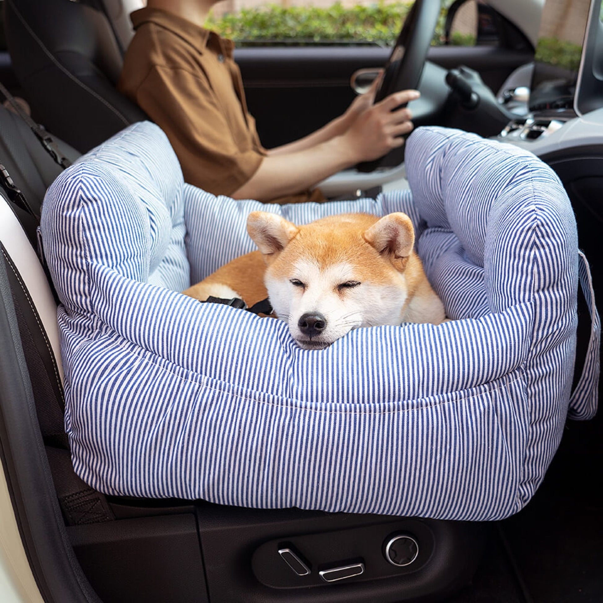 dog resting in a blue and white striped small dog car seat