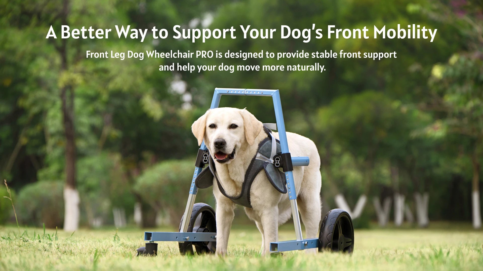 slider image slider_item_BmkYpU