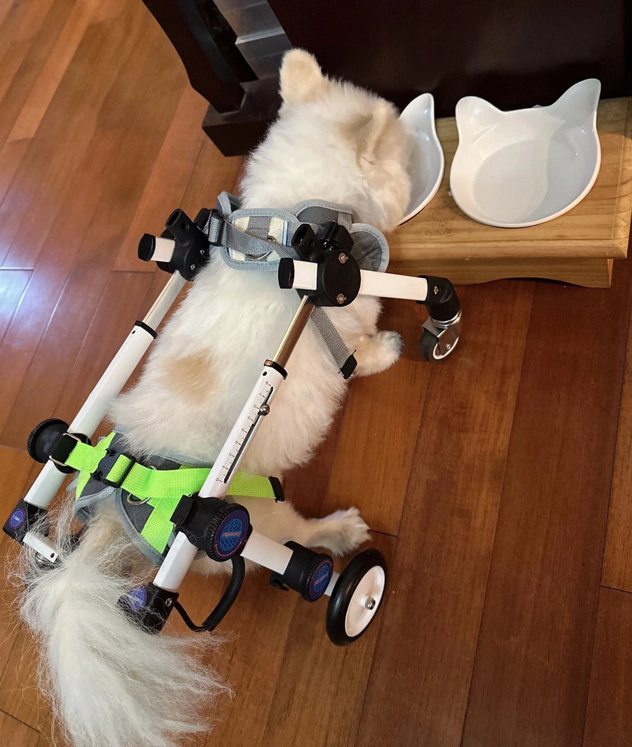 Pawsbetter Full Support Dog Wheelchair CORE, dog mobility support, support structure detail